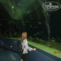 фото из отзыва ID 1071409