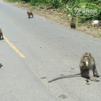 фото из отзыва ID 1072690