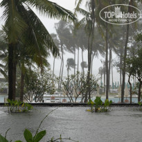 фото из отзыва ID 1073082