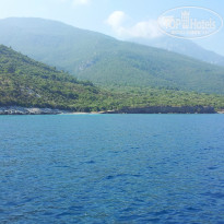 фото из отзыва ID 1071994