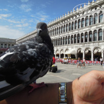 фото из отзыва ID 1073315