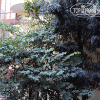 фото из отзыва ID 1073388