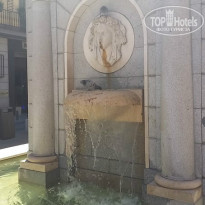 фото из отзыва ID 1073410