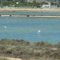 фото из отзыва ID 1073718