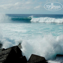 фото из отзыва ID 1072973