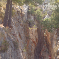 фото из отзыва ID 1073771