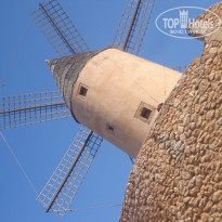 фото из отзыва ID 1073771