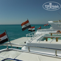 фото из отзыва ID 1073488