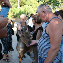 фото из отзыва ID 1073718