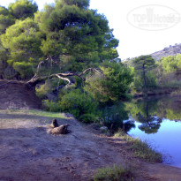 фото из отзыва ID 1073993