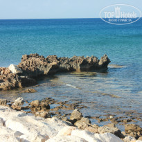 фото из отзыва ID 1074006