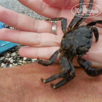 фото из отзыва ID 1074131