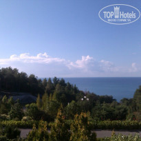 фото из отзыва ID 1074134