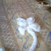 фото из отзыва ID 1074401