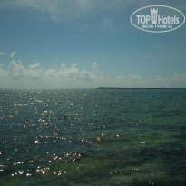 фото из отзыва ID 1074401