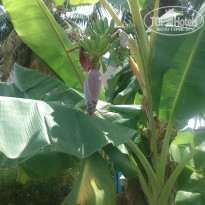 фото из отзыва ID 1074401