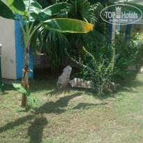 фото из отзыва ID 1074401