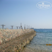 фото из отзыва ID 1074445