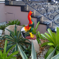 фото из отзыва ID 1074552