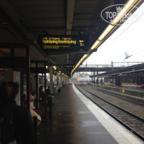 фото из отзыва ID 1074209