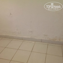 фото из отзыва ID 1074829