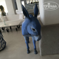 фото из отзыва ID 1075248