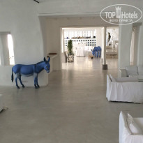 фото из отзыва ID 1075248