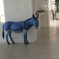 фото из отзыва ID 1075248