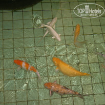 фото из отзыва ID 1075712