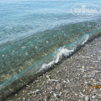 фото из отзыва ID 1075887