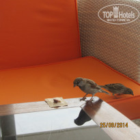 фото из отзыва ID 1075887