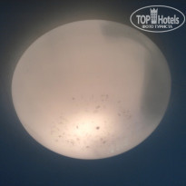 фото из отзыва ID 1075945