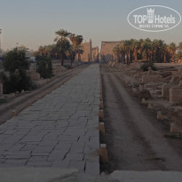 фото из отзыва ID 1075956