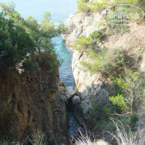 фото из отзыва ID 1076006