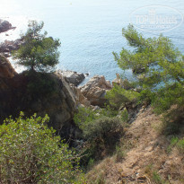 фото из отзыва ID 1076006