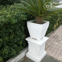 фото из отзыва ID 1076045