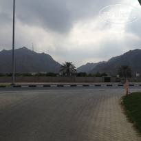 фото из отзыва ID 1076183