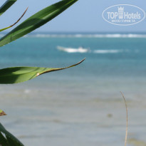 фото из отзыва ID 1076325