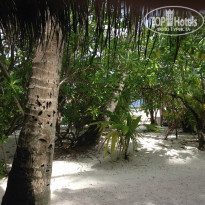 фото из отзыва ID 1076414