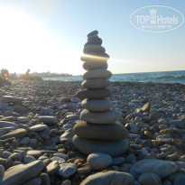 фото из отзыва ID 1076415