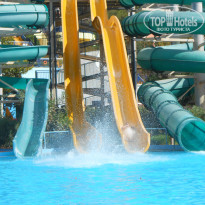 фото из отзыва ID 1076415