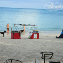 фото из отзыва ID 1076581