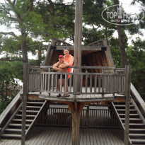 фото из отзыва ID 1071380