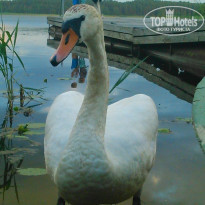 фото из отзыва ID 1077040