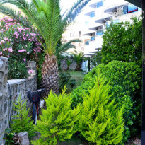 фото из отзыва ID 1077085