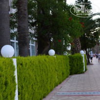 фото из отзыва ID 1077085