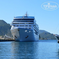 фото из отзыва ID 1077085