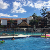 фото из отзыва ID 1077091