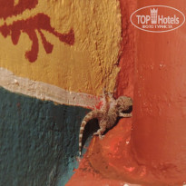 фото из отзыва ID 1077324