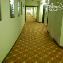 фото из отзыва ID 1077446